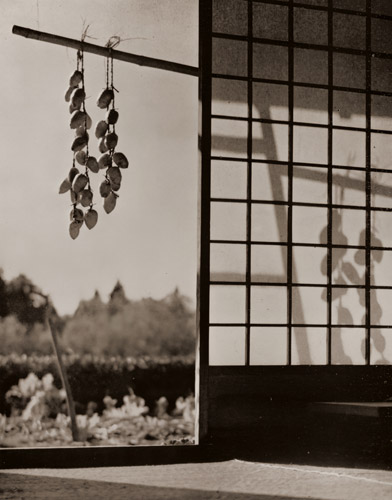 秋の陽ざし [河村弘, アサヒカメラ 1938年6月号より] パブリックドメイン画像 