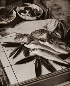 魚店静物 [仲田浩蔵, アサヒカメラ 1938年6月号より]のサムネイル画像