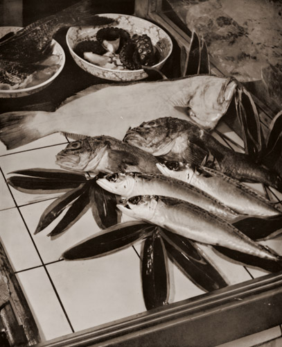 魚店静物 [仲田浩蔵, アサヒカメラ 1938年6月号より] パブリックドメイン画像 