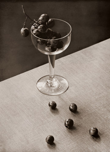 葡萄 [大木維草, アサヒカメラ 1938年6月号より] パブリックドメイン画像 