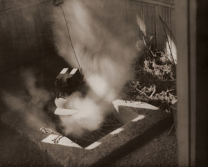光 [市川盛尾, アサヒカメラ 1938年2月号より]のサムネイル画像