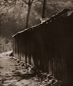 Autumn [Oto Horie,  from Asahi Camera February 1938] Thumbnail Images