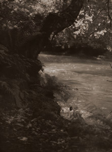 奥入瀬渓谷 [福原信三, アサヒカメラ 1938年2月号より]のサムネイル画像