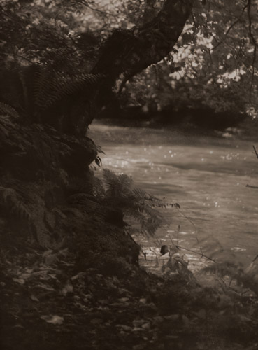 奥入瀬渓谷 [福原信三, アサヒカメラ 1938年2月号より] パブリックドメイン画像 
