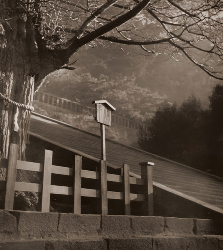 神苑の朝 [鳥山悌成, アサヒカメラ 1938年2月号より] パブリックドメイン画像 