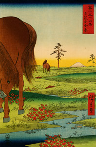 Kogane Plain in Shimōsa Province [Utagawa Hiroshige, 1858, from Thirty-six Views of Mount Fuji (Nazotoki Ukiyo-e Sōsho)] Thumbnail Images