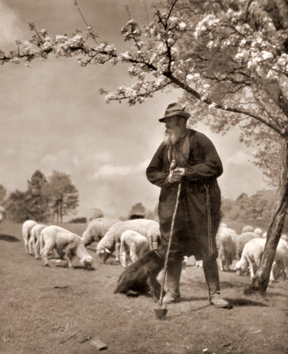 無題（羊飼い） [Richard Wörsching, アサヒカメラ 1936年3月号より] パブリックドメイン画像 