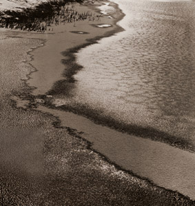 自然の一隅 [村松玲一, 1936年, アサヒカメラ 1936年3月号より]のサムネイル画像