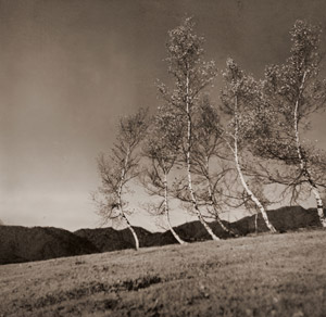 高原 [湯川孝夫, アサヒカメラ 1936年3月号より]のサムネイル画像
