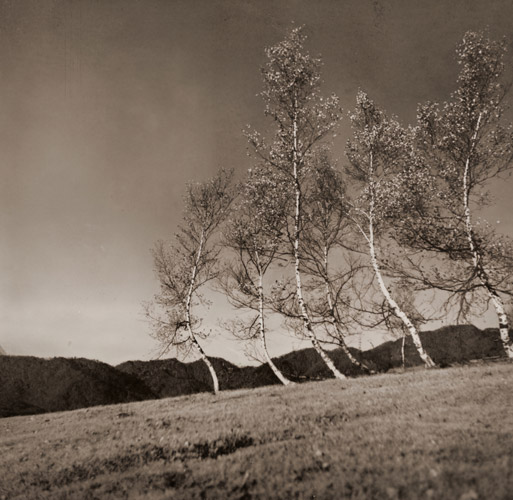 高原 [湯川孝夫, アサヒカメラ 1936年3月号より] パブリックドメイン画像 