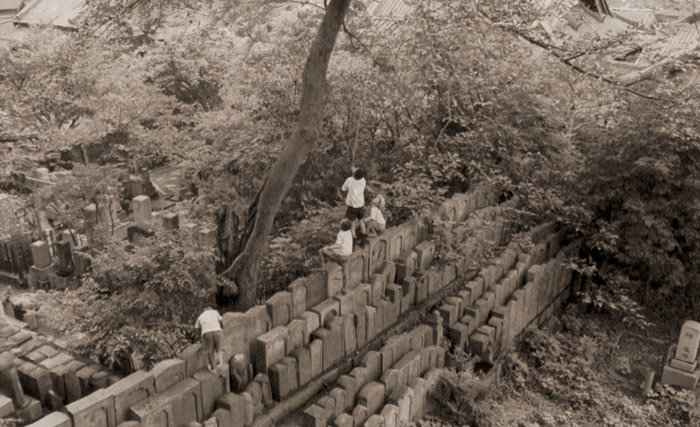 せみとり [大野ユタカ, アサヒカメラ 1955年12月号より] パブリックドメイン画像 