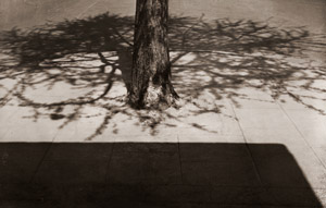 歩道 [横山定男, アサヒカメラ 1955年12月号より]のサムネイル画像