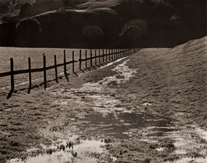 湿原 [ウィン・バロック, アサヒカメラ 1955年12月号より]のサムネイル画像