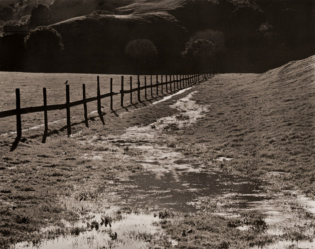 湿原 [ウィン・バロック, アサヒカメラ 1955年12月号より] パブリックドメイン画像 