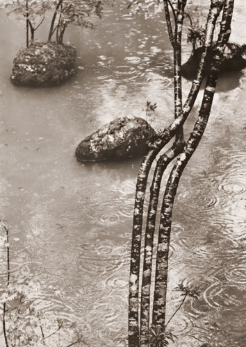 苔寺（三つの石） [中藤敦, アサヒカメラ 1956年7月号より] パブリックドメイン画像 