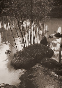 苔寺（七本竹） [中藤敦, アサヒカメラ 1956年7月号より]のサムネイル画像