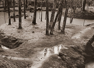 苔寺（林泉） [中藤敦, アサヒカメラ 1956年7月号より]のサムネイル画像