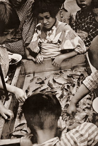 夏の子供 [木村伊兵衛, 1933年, 木村伊兵衛傑作写真集より]のサムネイル画像