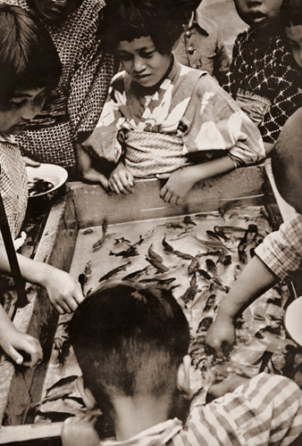 夏の子供 [木村伊兵衛, 1933年, 木村伊兵衛傑作写真集より] パブリックドメイン画像 