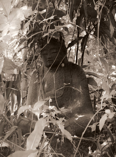 竹林の石仏 [木村伊兵衛, 1952年, 木村伊兵衛傑作写真集より] パブリックドメイン画像 