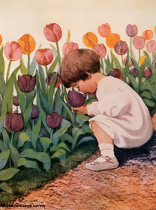 Tulip Time (A Very Little Child’s Book of Stories by Ada M. and Eleanor L. Skinner) [Jessie Willcox Smith, 1923, from Jessie Willcox Smith: American Illustrator] Thumbnail Images
