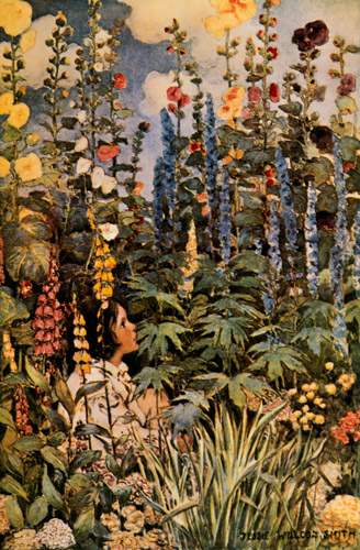 あの花 [ジェシー・ウィルコックス・スミス, 1905年, ジェシー・W・スミス：アメリカンイラストレーターより] パブリックドメイン画像 