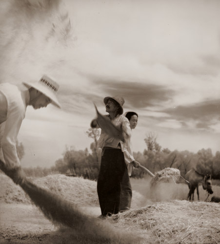 Harvest (North China) [Ihei Kimura, 1942-1943, from Select Pictures by Ihei Kimura]