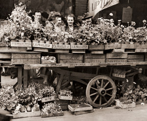 ロンドンの花市 [石井幸之助, カメラ毎日 1954年6月号より]のサムネイル画像