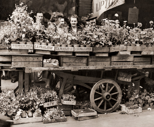 ロンドンの花市 [石井幸之助, カメラ毎日 1954年6月号より] パブリックドメイン画像 