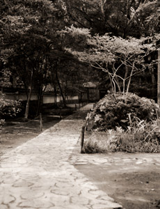 苔寺 [尾上梅幸, カメラ毎日 1954年6月号より]のサムネイル画像