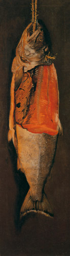 Salmon [Takahashi Yuichi,  from Takahashi Yuichi: A Pioneer of Modern Western-style Painting]