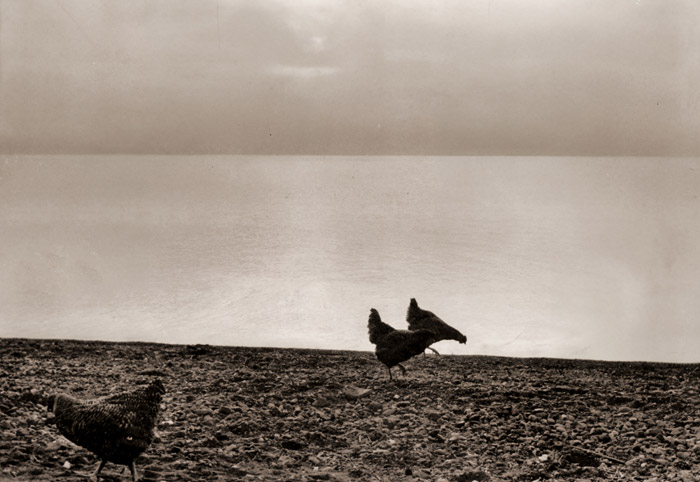 湖北の朝 [石黒清, カメラ毎日 1956年7月号より] パブリックドメイン画像 