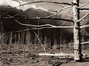 大正池 [吉村正治, カメラ毎日 1956年7月号より]のサムネイル画像