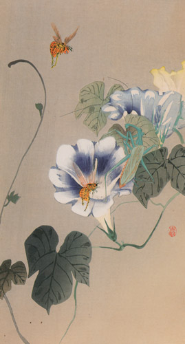 Bee, Mantis and Morning Glory [Ohara Koson,  from Hanga Geijutsu no.181]