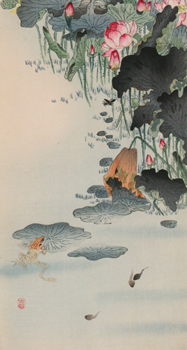 Frog and Lotus [Ohara Koson,  from Hanga Geijutsu no.181]