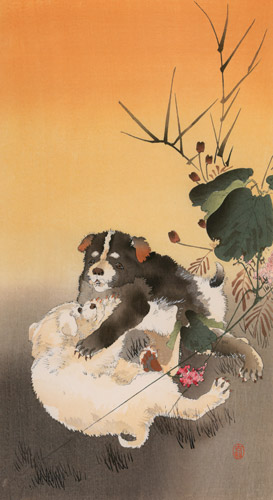 Playing Puppies [Ohara Koson,  from Hanga Geijutsu no.181]