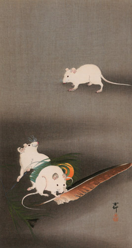 Peacock Feather and White Mice [Ohara Koson,  from Hanga Geijutsu no.181]