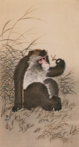 Monkey and Bee [Ohara Koson,  from Hanga Geijutsu no.181] Thumbnail Images