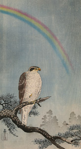 Rainbow, Pine Tree and Northern Goshawk [Ohara Koson,  from Hanga Geijutsu no.181] Thumbnail Images