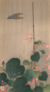 Hardy Begonia and Shadow of a Bird in the Rain [Ohara Koson,  from Hanga Geijutsu no.181] Thumbnail Images