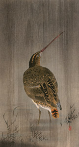 Common Snipe in the Rain [Ohara Koson,  from Hanga Geijutsu no.181] Thumbnail Images