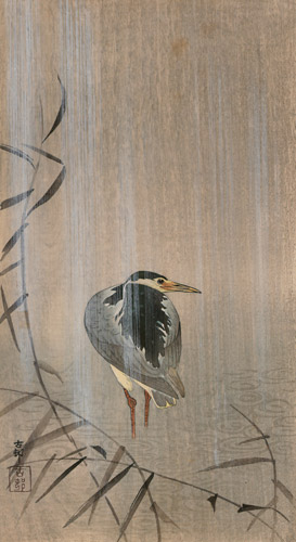 A Black-crowned Night Heron in the Rain [Ohara Koson,  from Hanga Geijutsu no.181]