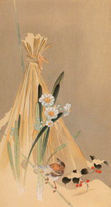 Hay Bundle, Narcissus Flower and Japanese Accentor [Ohara Koson,  from Hanga Geijutsu no.181] Thumbnail Images