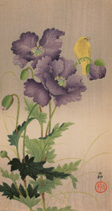 Opium Poppy and Atlantic Canary [Ohara Koson,  from Hanga Geijutsu no.181] Thumbnail Images