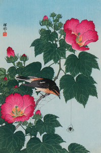 Cotton Rosemallow and Narcissus Flycatcher [Ohara Koson,  from Hanga Geijutsu no.181] Thumbnail Images