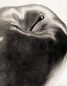 リンゴ [船山克, アサヒカメラ 1954年2月号より]のサムネイル画像