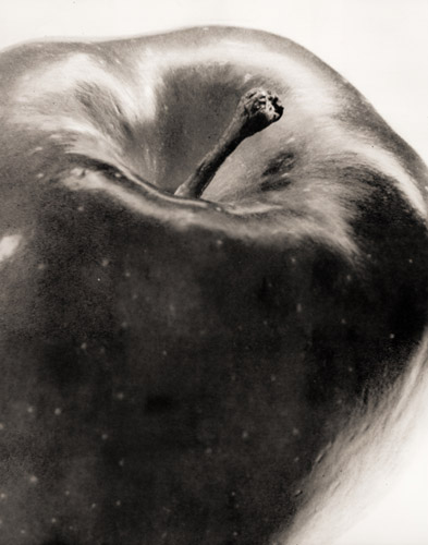 リンゴ [船山克, アサヒカメラ 1954年2月号より] パブリックドメイン画像 