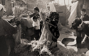 収穫 [岩田幸助, アサヒカメラ 1954年2月号より]のサムネイル画像