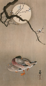 Plum and Mallard Ducks with Moon [Ohara Koson,  from Hanga Geijutsu no.181] Thumbnail Images