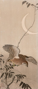 Japanese Quail with Moon [Ohara Koson,  from Hanga Geijutsu no.181] Thumbnail Images